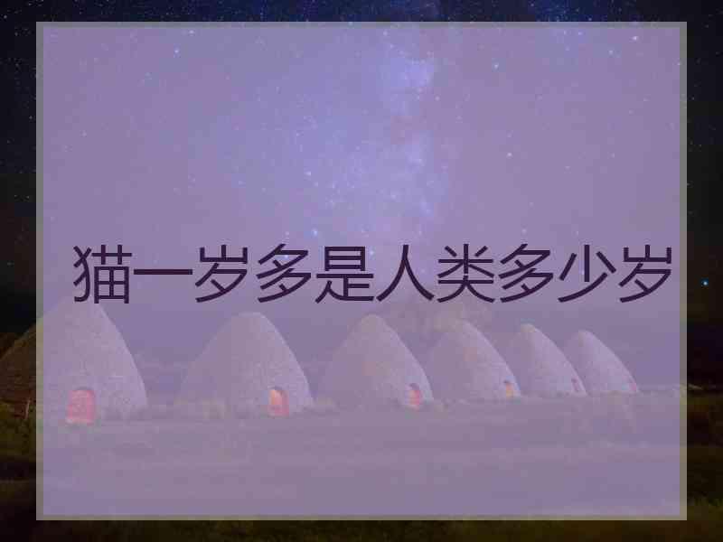 猫一岁多是人类多少岁
