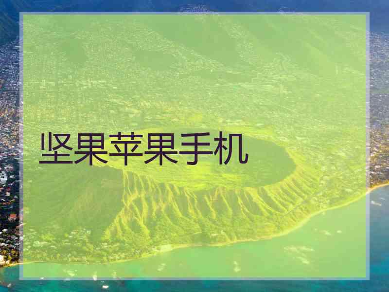 坚果苹果手机