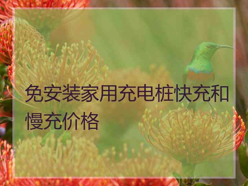 免安装家用充电桩快充和慢充价格