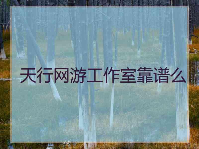 天行网游工作室靠谱么