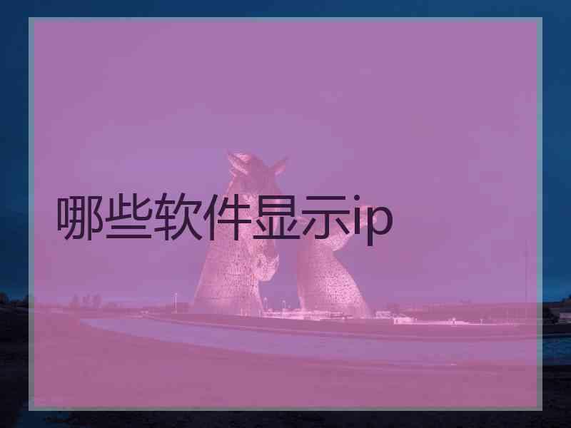 哪些软件显示ip