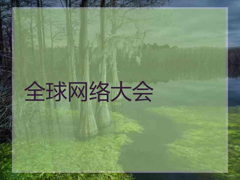 全球网络大会