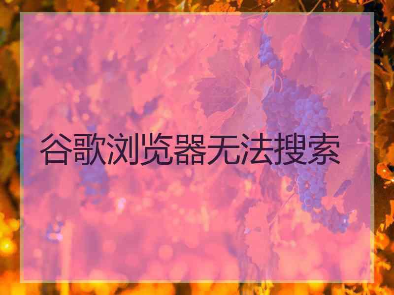 谷歌浏览器无法搜索