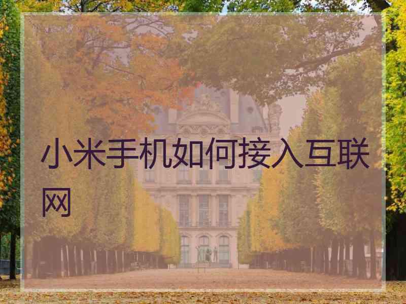 小米手机如何接入互联网