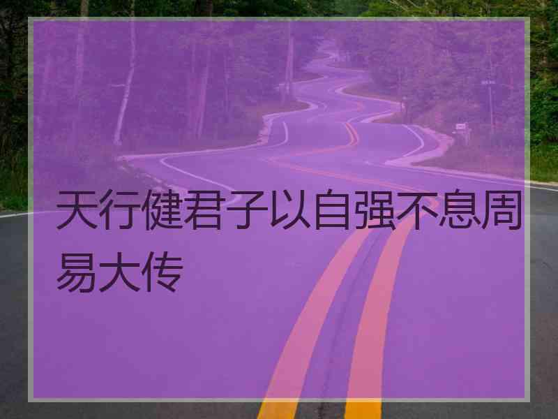 天行健君子以自强不息周易大传