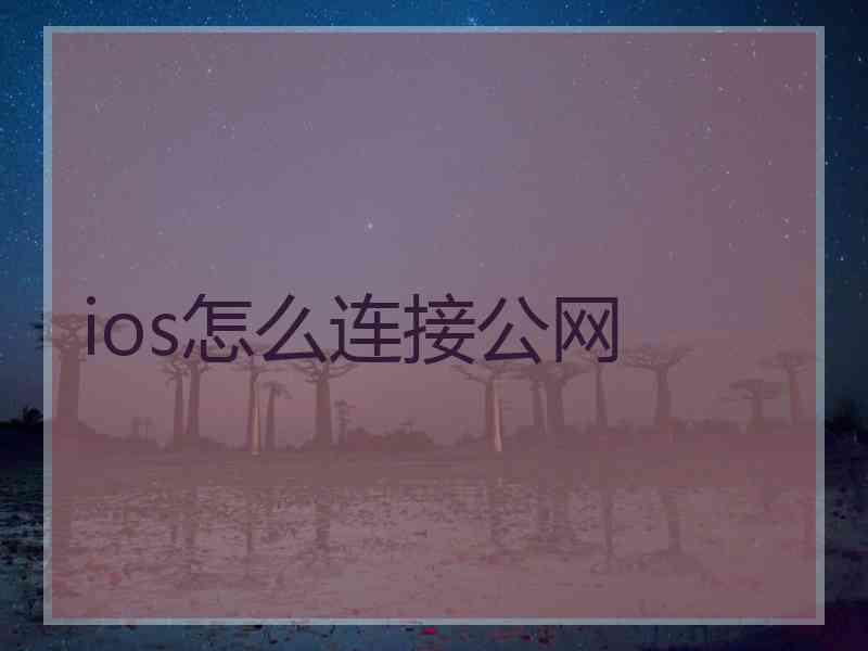 ios怎么连接公网