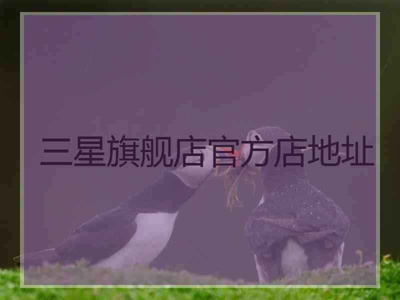 三星旗舰店官方店地址