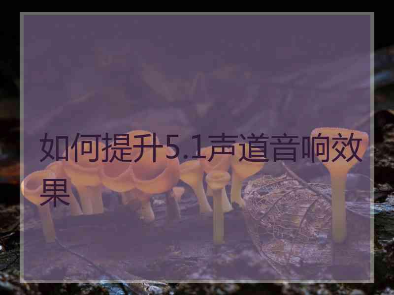 如何提升5.1声道音响效果