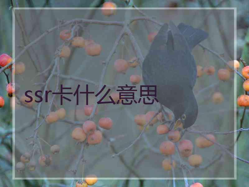 ssr卡什么意思