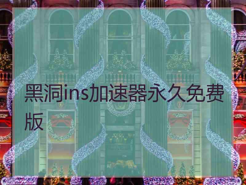 黑洞ins加速器永久免费版
