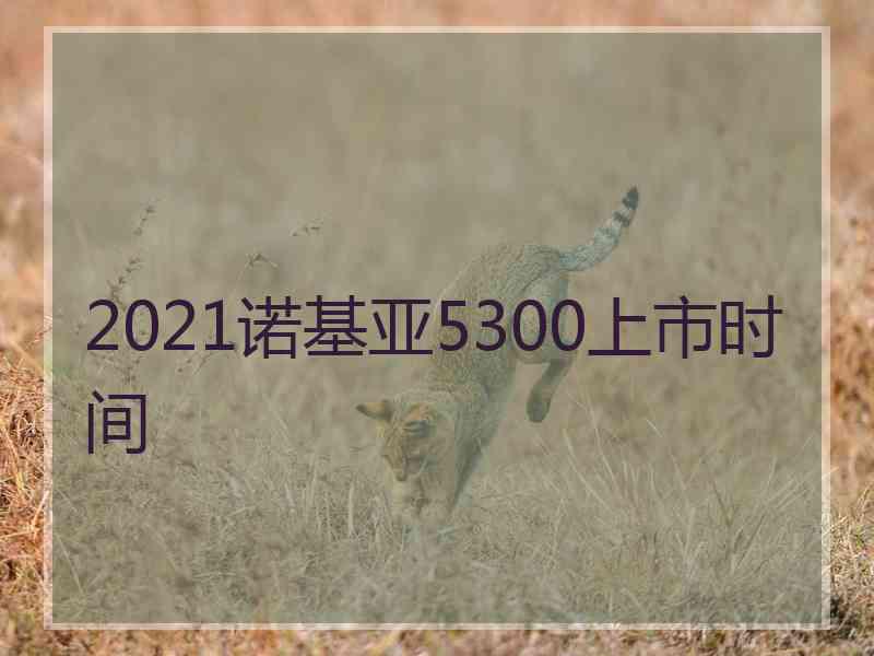 2021诺基亚5300上市时间