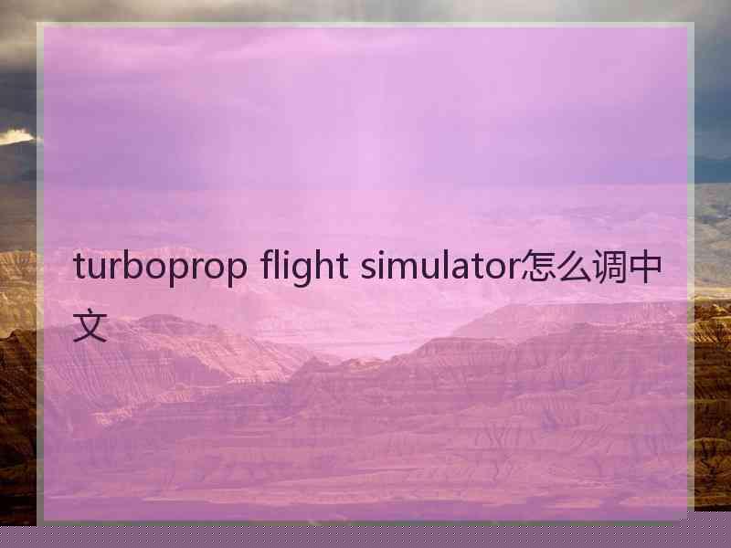 turboprop flight simulator怎么调中文