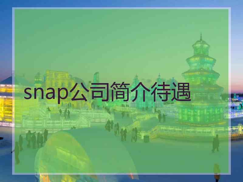 snap公司简介待遇
