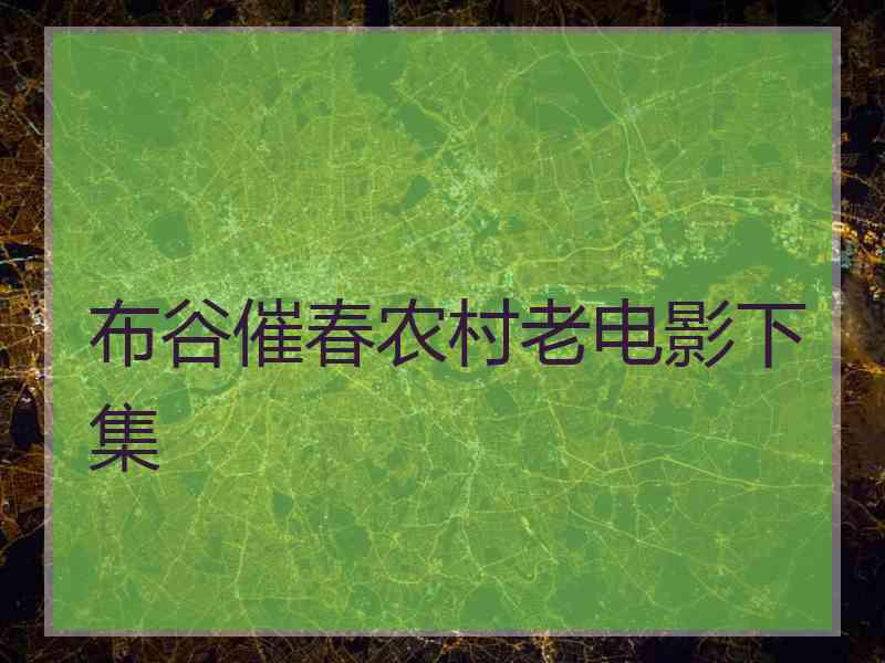 布谷催春农村老电影下集