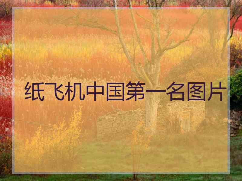 纸飞机中国第一名图片