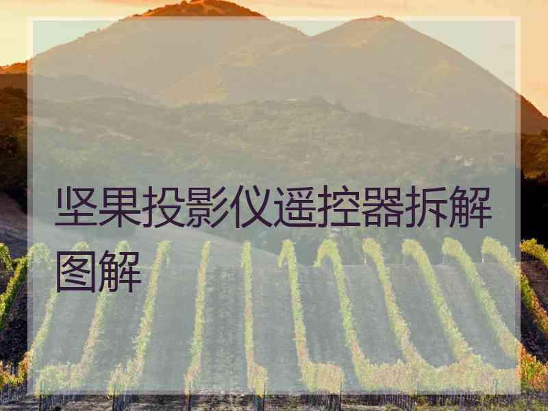 坚果投影仪遥控器拆解图解