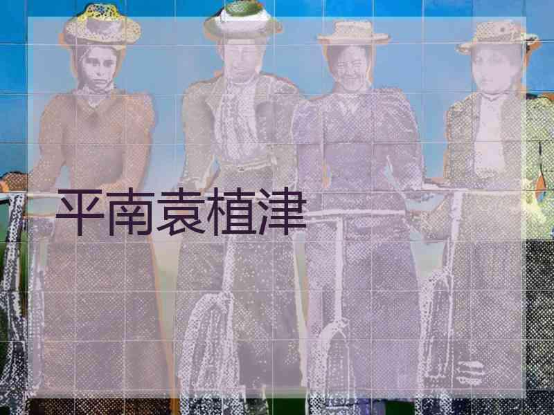 平南袁植津