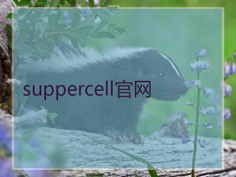 suppercell官网