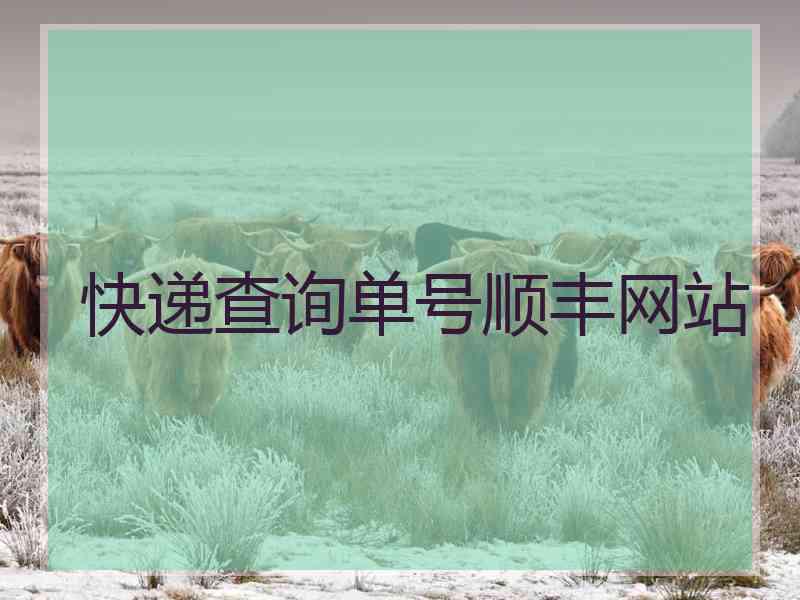 快递查询单号顺丰网站