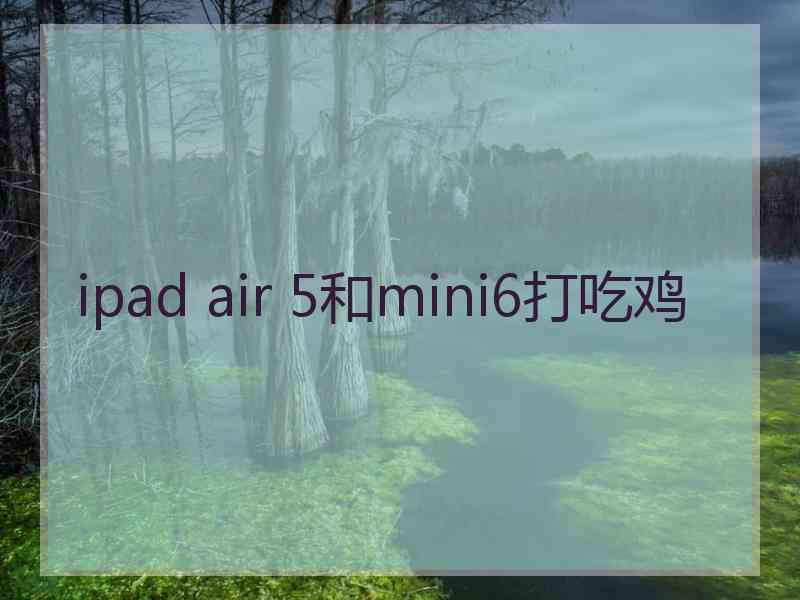 ipad air 5和mini6打吃鸡