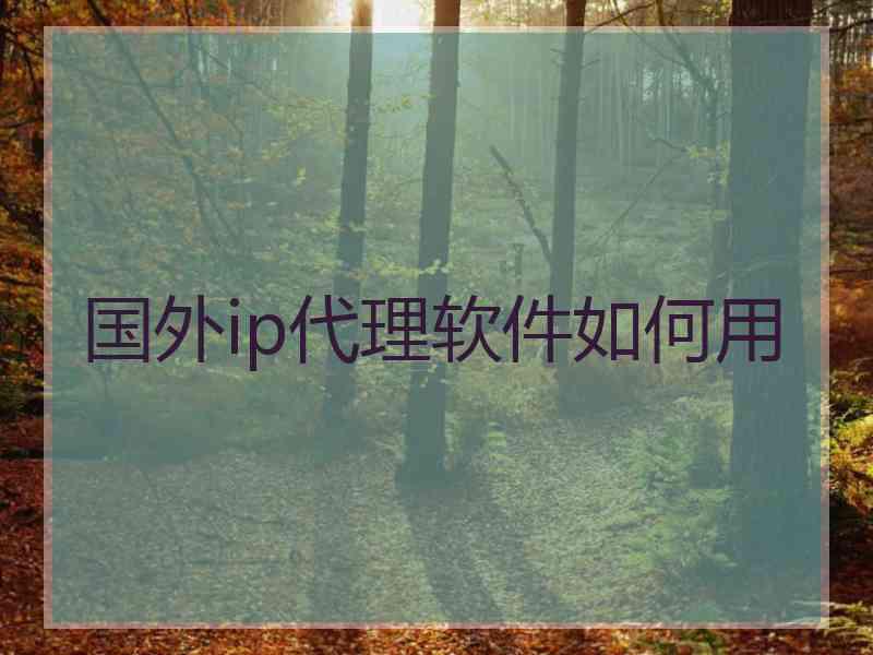 国外ip代理软件如何用