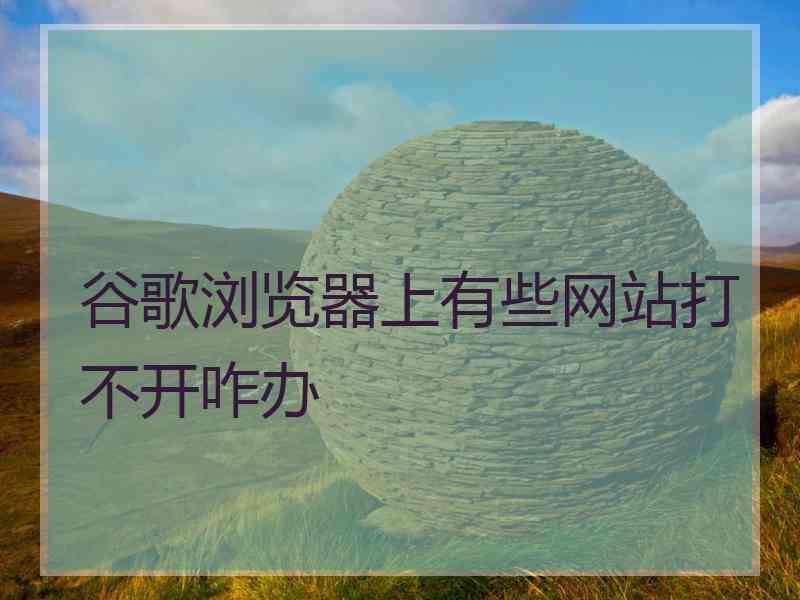 谷歌浏览器上有些网站打不开咋办