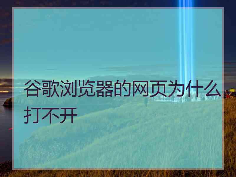 谷歌浏览器的网页为什么打不开