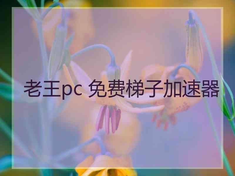 老王pc 免费梯子加速器