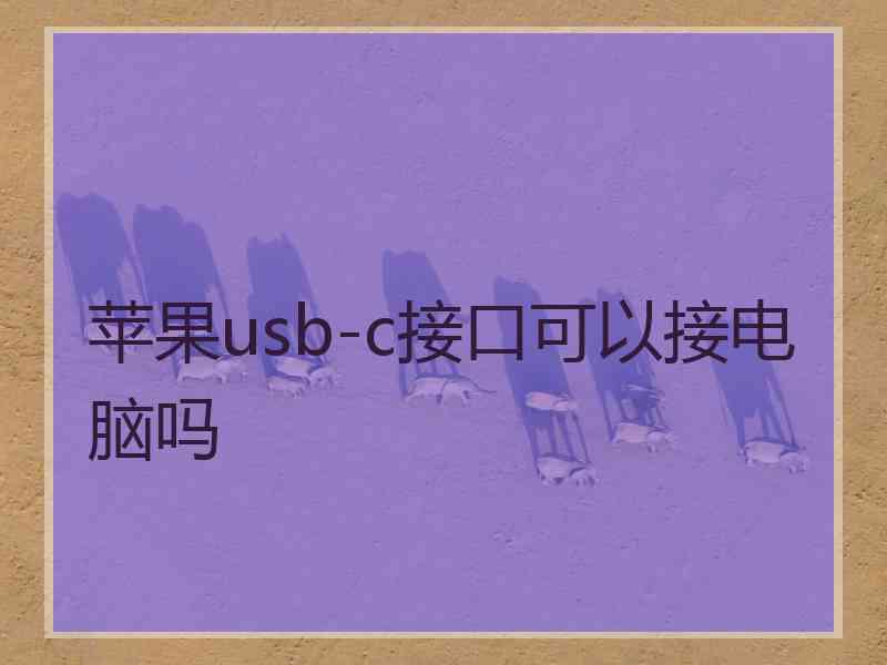 苹果usb-c接口可以接电脑吗