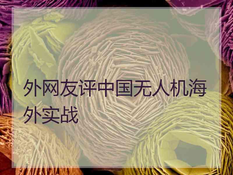 外网友评中国无人机海外实战
