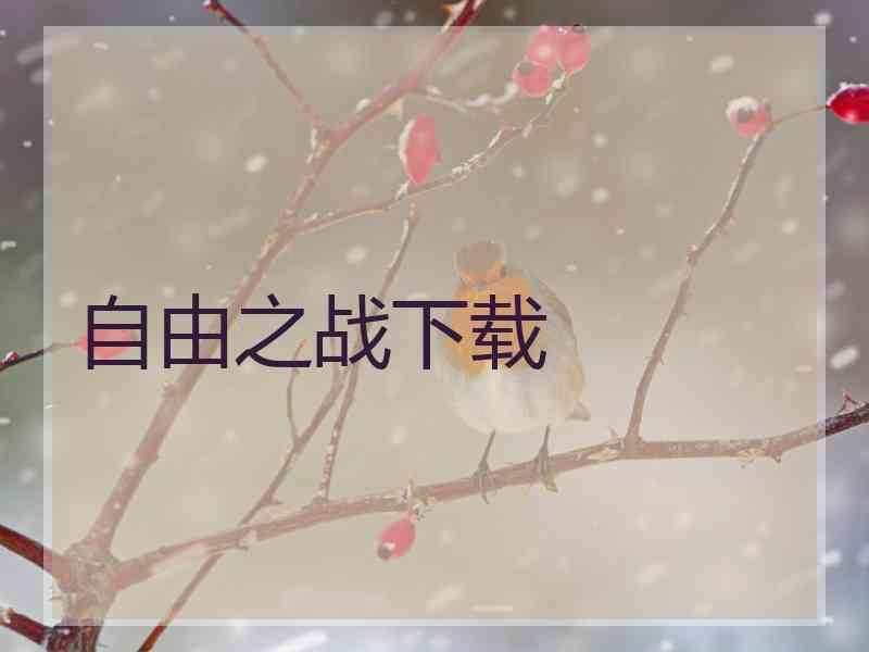 自由之战下载