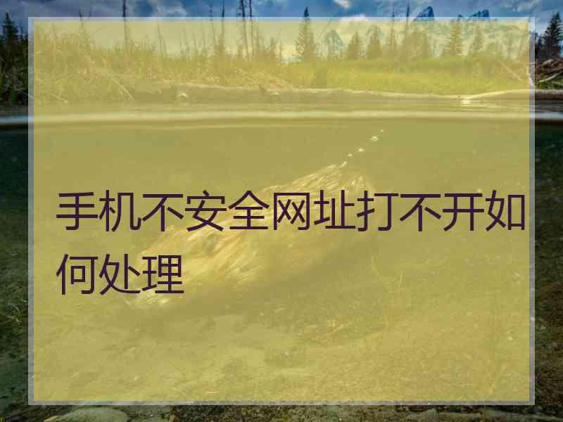 手机不安全网址打不开如何处理