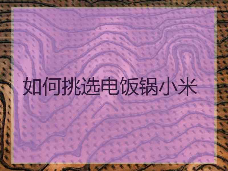 如何挑选电饭锅小米