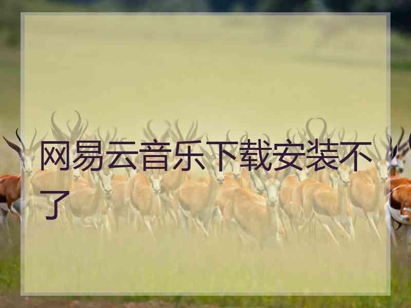 网易云音乐下载安装不了