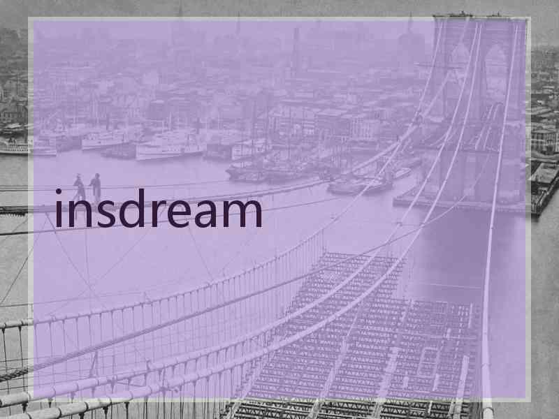 insdream