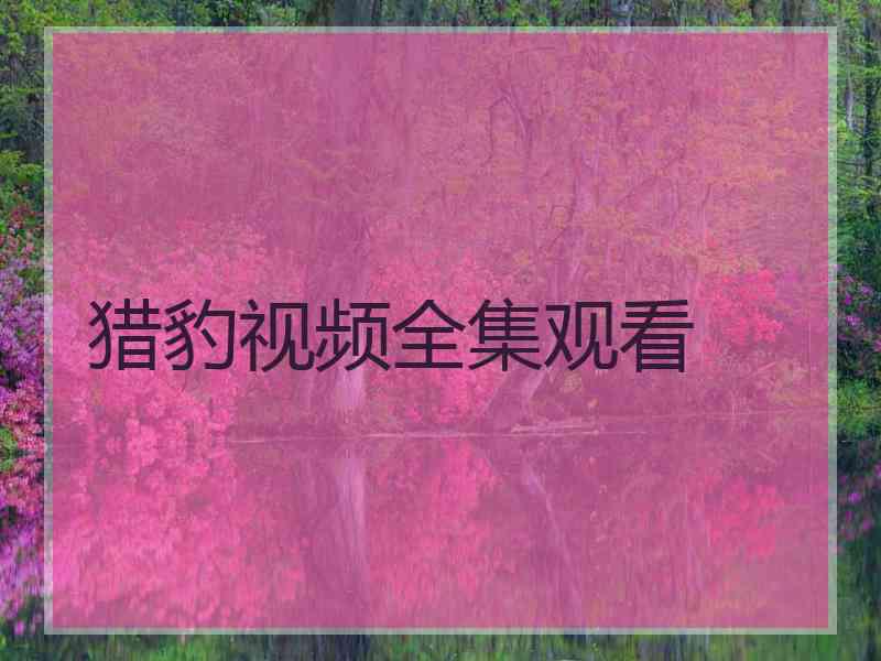 猎豹视频全集观看