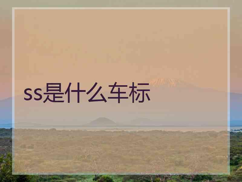 ss是什么车标