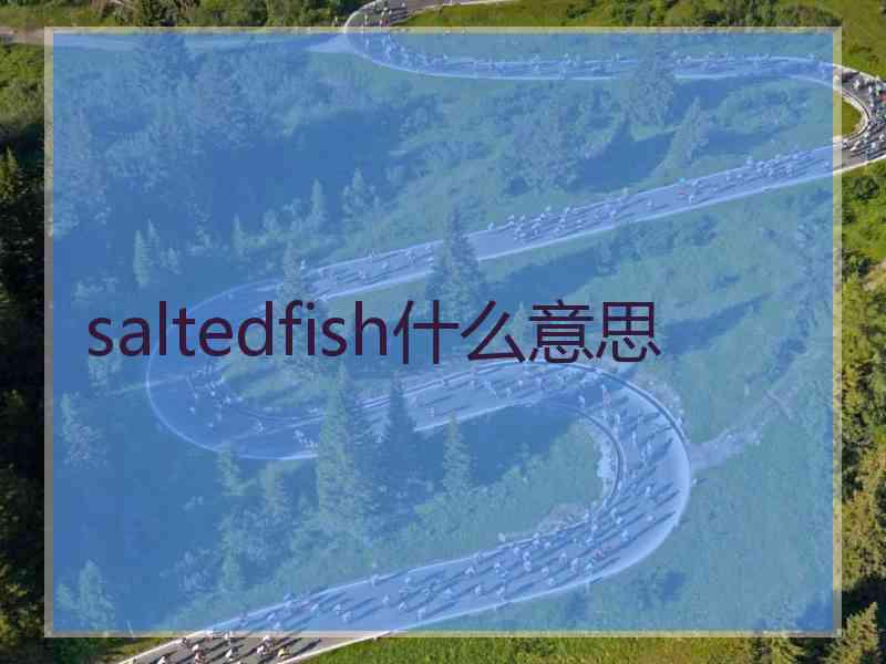 saltedfish什么意思
