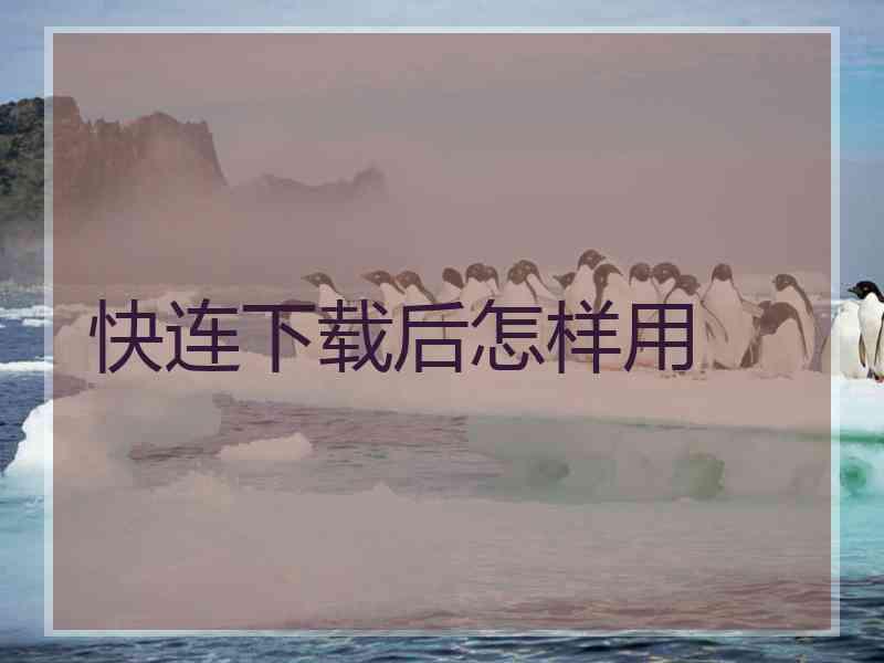 快连下载后怎样用