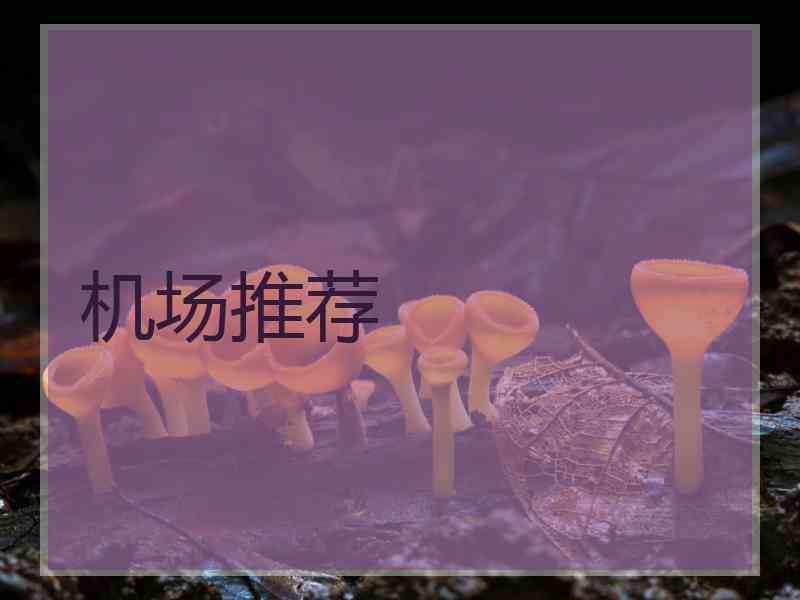 机场推荐