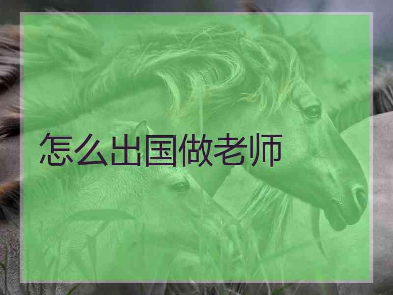 怎么出国做老师