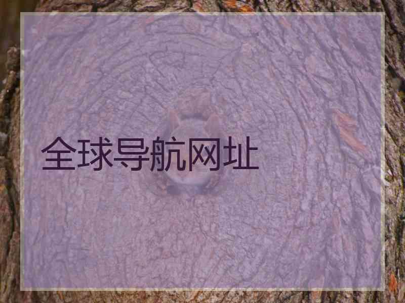 全球导航网址