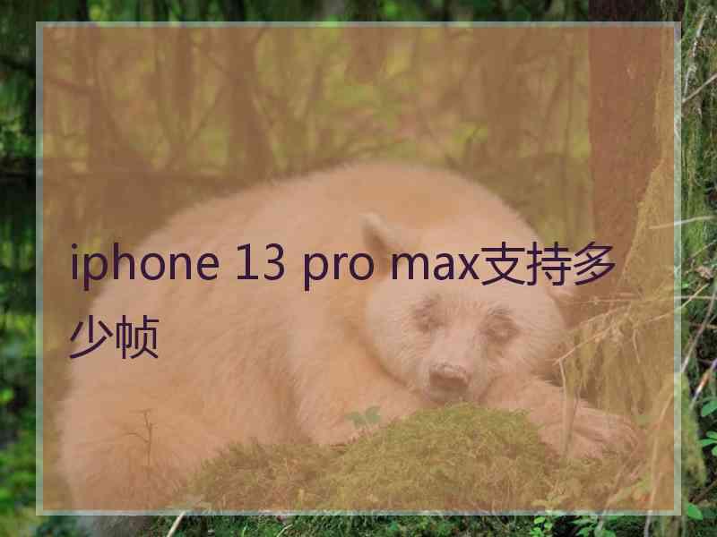 iphone 13 pro max支持多少帧