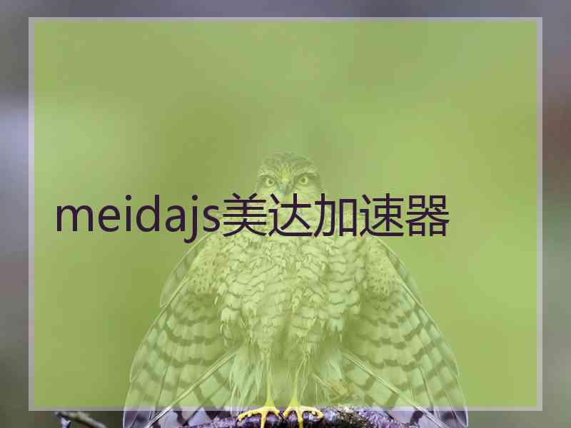 meidajs美达加速器