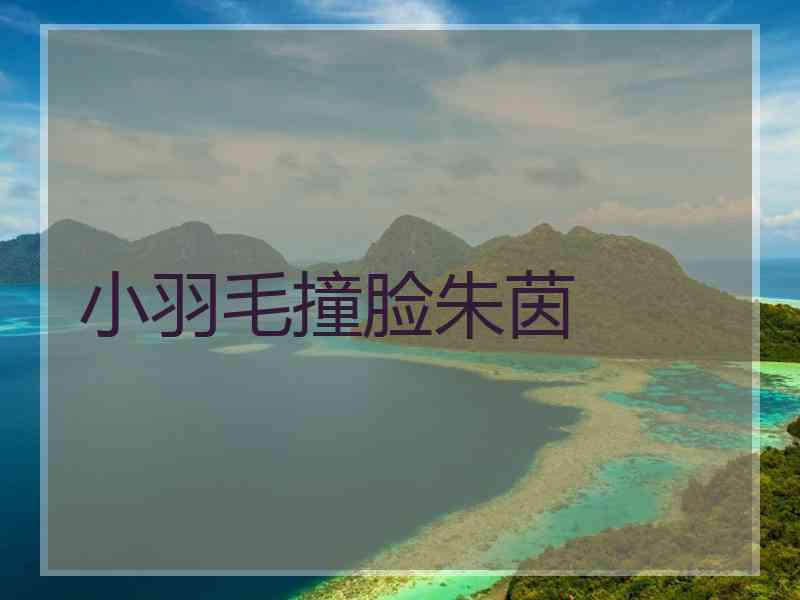 小羽毛撞脸朱茵
