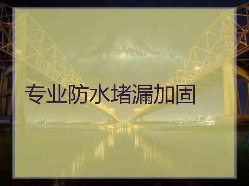 专业防水堵漏加固