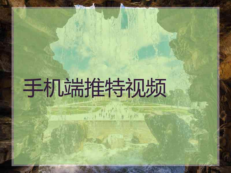 手机端推特视频