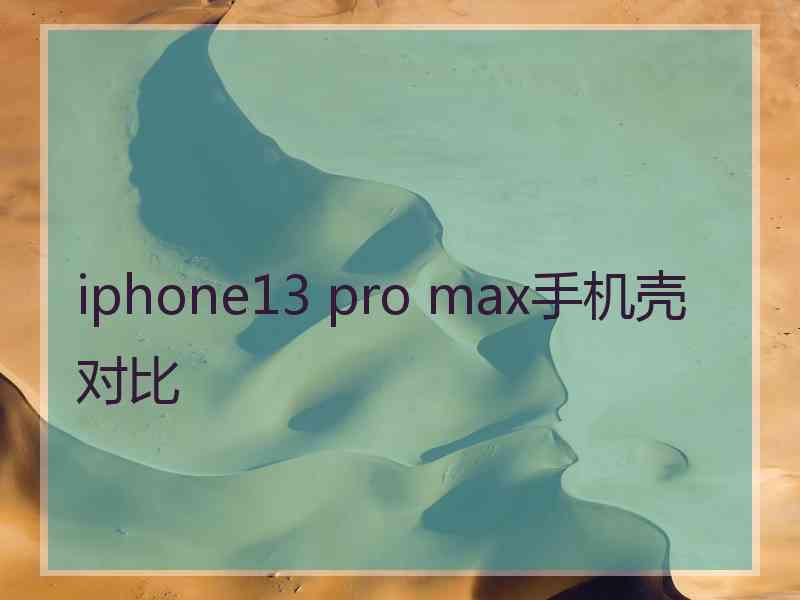 iphone13 pro max手机壳对比