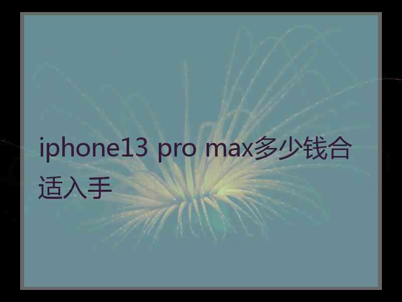 iphone13 pro max多少钱合适入手