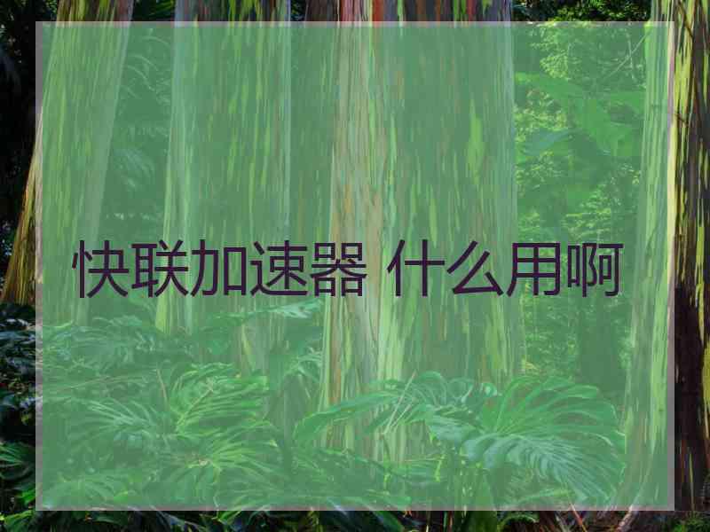 快联加速器 什么用啊